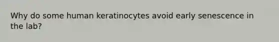 Why do some human keratinocytes avoid early senescence in the lab?