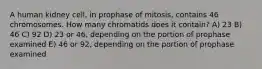 A human kidney cell, in prophase of mitosis, contains 46 chromosomes. How many chromatids does it contain? A) 23 B) 46 C) 92 D) 23 or 46, depending on the portion of prophase examined E) 46 or 92, depending on the portion of prophase examined