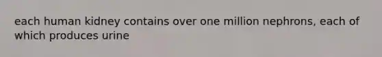 each human kidney contains over one million nephrons, each of which produces urine
