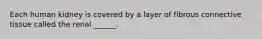 Each human kidney is covered by a layer of fibrous connective tissue called the renal ______.
