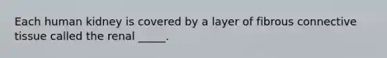Each human kidney is covered by a layer of fibrous <a href='https://www.questionai.com/knowledge/kYDr0DHyc8-connective-tissue' class='anchor-knowledge'>connective tissue</a> called the renal _____.