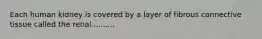 Each human kidney is covered by a layer of fibrous connective tissue called the renal..........