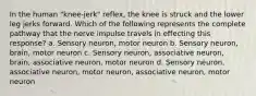 In the human "knee-jerk" reflex, the knee is struck and the lower leg jerks forward. Which of the following represents the complete pathway that the nerve impulse travels in effecting this response? a. Sensory neuron, motor neuron b. Sensory neuron, brain, motor neuron c. Sensory neuron, associative neuron, brain, associative neuron, motor neuron d. Sensory neuron, associative neuron, motor neuron, associative neuron, motor neuron