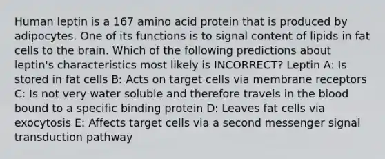 Human leptin is a 167 amino acid protein that is produced by adipocytes. One of its functions is to signal content of lipids in fat cells to the brain. Which of the following predictions about leptin's characteristics most likely is INCORRECT? Leptin A: Is stored in fat cells B: Acts on target cells via membrane receptors C: Is not very water soluble and therefore travels in the blood bound to a specific binding protein D: Leaves fat cells via exocytosis E: Affects target cells via a second messenger signal transduction pathway