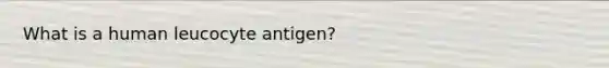 What is a human leucocyte antigen?