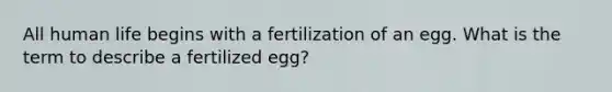 All human life begins with a fertilization of an egg. What is the term to describe a fertilized egg?