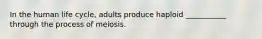 In the human life cycle, adults produce haploid ___________ through the process of meiosis.