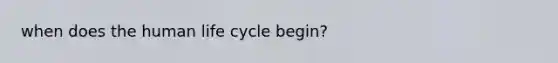 when does the human life cycle begin?