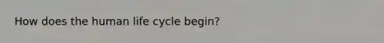 How does the human life cycle begin?