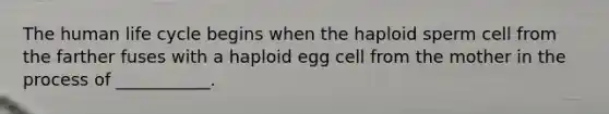 The human life cycle begins when the haploid sperm cell from the farther fuses with a haploid egg cell from the mother in the process of ___________.