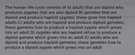 The human life cycle consists of A) adults that are diploid who produces zygotes that are also diploid B) gametes that are diploid and produce haploid zygotes; these grow into haploid adults C) adults who are haploid and produce diploid gametes; these gametes fuse to produce a haploid zygote which grows into an adult D) zygotes who are haploid refuse to produce a diploid gamete which grows into an adult E) adults who are diploid and produce haploid gametes; these gametes fuse to produce a diploid zygote which grows into an adult