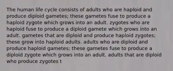 The human life cycle consists of adults who are haploid and produce diploid gametes; these gametes fuse to produce a haploid zygote which grows into an adult. zygotes who are haploid fuse to produce a diploid gamete which grows into an adult. gametes that are diploid and produce haploid zygotes; these grow into haploid adults. adults who are diploid and produce haploid gametes; these gametes fuse to produce a diploid zygote which grows into an adult. adults that are diploid who produce zygotes t