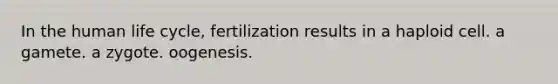 In the human life cycle, fertilization results in a haploid cell. a gamete. a zygote. oogenesis.