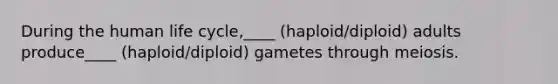 During the human life cycle,____ (haploid/diploid) adults produce____ (haploid/diploid) gametes through meiosis.