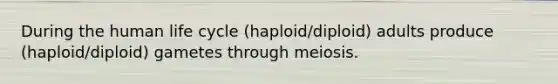 During the human life cycle (haploid/diploid) adults produce (haploid/diploid) gametes through meiosis.