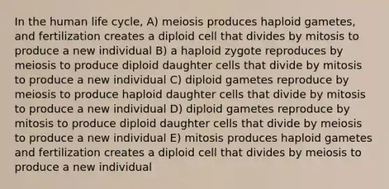 In the human life cycle, A) meiosis produces haploid gametes, and fertilization creates a diploid cell that divides by mitosis to produce a new individual B) a haploid zygote reproduces by meiosis to produce diploid daughter cells that divide by mitosis to produce a new individual C) diploid gametes reproduce by meiosis to produce haploid daughter cells that divide by mitosis to produce a new individual D) diploid gametes reproduce by mitosis to produce diploid daughter cells that divide by meiosis to produce a new individual E) mitosis produces haploid gametes and fertilization creates a diploid cell that divides by meiosis to produce a new individual