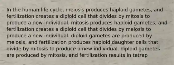 In the human life cycle, meiosis produces haploid gametes, and fertilization creates a diploid cell that divides by mitosis to produce a new individual. mitosis produces haploid gametes, and fertilization creates a diploid cell that divides by meiosis to produce a new individual. diploid gametes are produced by meiosis, and fertilization produces haploid daughter cells that divide by mitosis to produce a new individual. diploid gametes are produced by mitosis, and fertilization results in tetrap