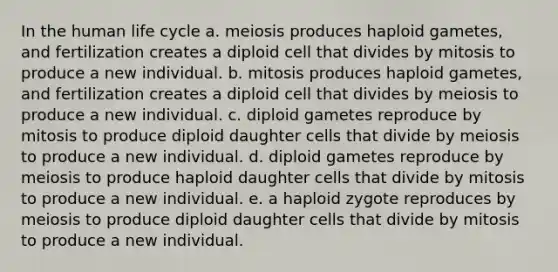 In the human life cycle a. meiosis produces haploid gametes, and fertilization creates a diploid cell that divides by mitosis to produce a new individual. b. mitosis produces haploid gametes, and fertilization creates a diploid cell that divides by meiosis to produce a new individual. c. diploid gametes reproduce by mitosis to produce diploid daughter cells that divide by meiosis to produce a new individual. d. diploid gametes reproduce by meiosis to produce haploid daughter cells that divide by mitosis to produce a new individual. e. a haploid zygote reproduces by meiosis to produce diploid daughter cells that divide by mitosis to produce a new individual.