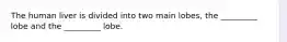 The human liver is divided into two main lobes, the _________ lobe and the _________ lobe.