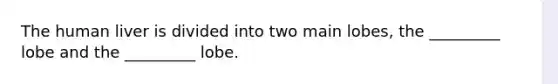 The human liver is divided into two main lobes, the _________ lobe and the _________ lobe.