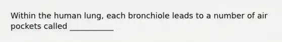 Within the human lung, each bronchiole leads to a number of air pockets called ___________