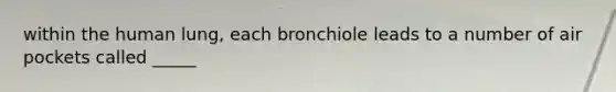 within the human lung, each bronchiole leads to a number of air pockets called _____