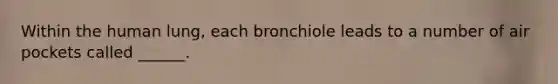 Within the human lung, each bronchiole leads to a number of air pockets called ______.