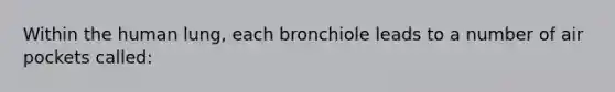 Within the human lung, each bronchiole leads to a number of air pockets called: