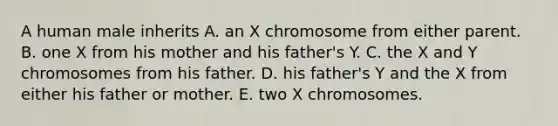 A human male inherits A. an X chromosome from either parent. B. one X from his mother and his father's Y. C. the X and Y chromosomes from his father. D. his father's Y and the X from either his father or mother. E. two X chromosomes.