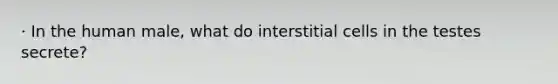 · In the human male, what do interstitial cells in the testes secrete?