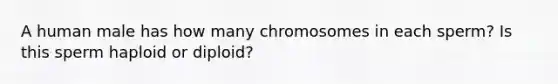 A human male has how many chromosomes in each sperm? Is this sperm haploid or diploid?