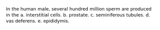 ​In the human male, several hundred million sperm are produced in the a. interstitial cells. b. prostate. c. seminiferous tubules. d. vas deferens. e. epididymis.