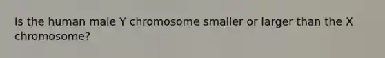 Is the human male Y chromosome smaller or larger than the X chromosome?