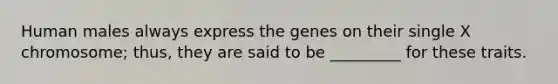 Human males always express the genes on their single X chromosome; thus, they are said to be _________ for these traits.