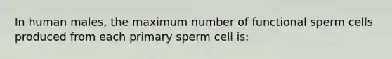 In human males, the maximum number of functional sperm cells produced from each primary sperm cell is: