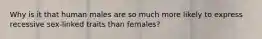 Why is it that human males are so much more likely to express recessive sex-linked traits than females?