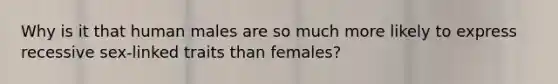 Why is it that human males are so much more likely to express recessive sex-linked traits than females?