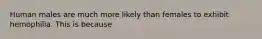 Human males are much more likely than females to exhibit hemophilia. This is because