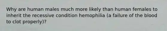 Why are human males much more likely than human females to inherit the recessive condition hemophilia (a failure of the blood to clot properly)?