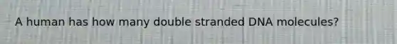 A human has how many double stranded DNA molecules?