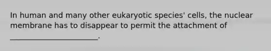 In human and many other eukaryotic species' cells, the nuclear membrane has to disappear to permit the attachment of _______________________.