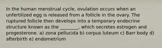 In the human menstrual cycle, ovulation occurs when an unfertilized egg is released from a follicle in the ovary. The ruptured follicle then develops into a temporary endocrine structure known as the ________, which secretes estrogen and progesterone. a) zona pellucida b) corpus luteum c) Barr body d) afterbirth e) endometrium