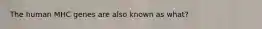 The human MHC genes are also known as what?