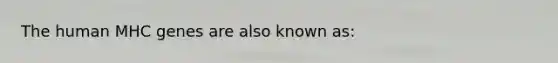 The human MHC genes are also known as: