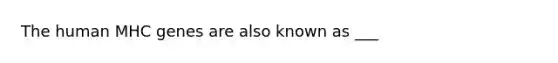 The human MHC genes are also known as ___