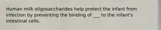 Human milk oligosaccharides help protect the infant from infection by preventing the binding of ___ to the infant's intestinal cells.