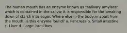 The human mouth has an enzyme known as "salivary amylase" which is contained in the saliva; it is responsible for the breaking down of starch into sugar. Where else in the body,m apart from the mouth, is this enzyme found? a. Pancreas b. Small intestine c. Liver d. Large intestines