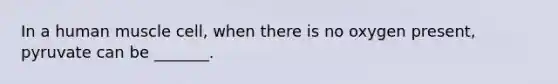 In a human muscle cell, when there is no oxygen present, pyruvate can be _______.