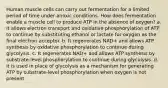 Human muscle cells can carry out fermentation for a limited period of time under anoxic conditions. How does fermentation enable a muscle cell to produce ATP in the absence of oxygen? a. It allows electron transport and oxidative phosphorylation of ATP to continue by substituting ethanol or lactate for oxygen as the final electron acceptor. b. It regenerates NAD+ and allows ATP synthesis by oxidative phosphorylation to continue during glycolysis. c. It regenerates NAD+ and allows ATP synthesis by substrate-level phosphorylation to continue during glycolysis. d. It is used in place of glycolysis as a mechanism for generating ATP by substrate-level phosphorylation when oxygen is not present.