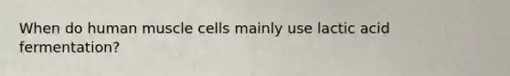 When do human muscle cells mainly use lactic acid fermentation?